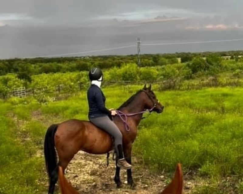 Private Horseback Riding Lesson & Trail Ride in Lockhart