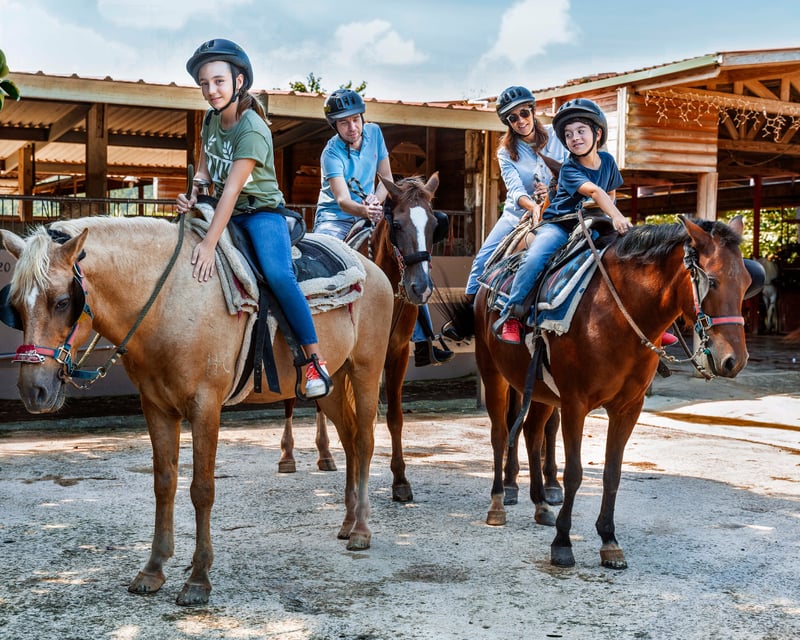 El Yunque 2-Hour Horseback Ride