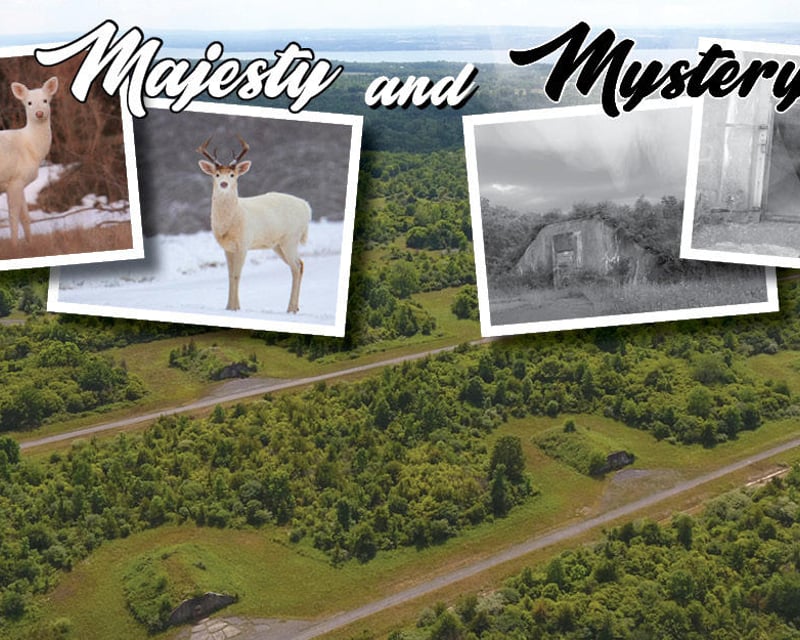 White Deer & Seneca Army Depot Bus Tour in Romulus