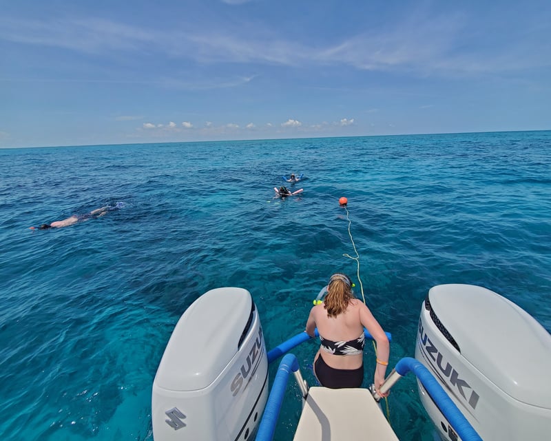 Private Key Largo Reef Snorkel & Eco Tour