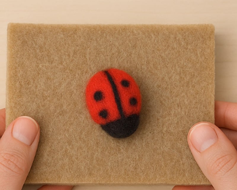Needle Felting Class in Grand Lake & Wool Ladybug Workshop
