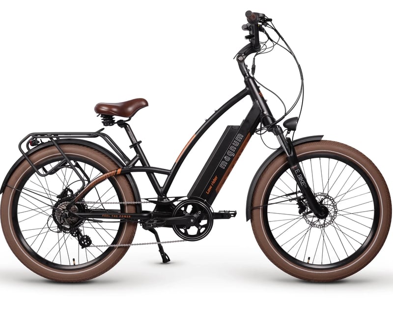 Same Day E-Bike Rental