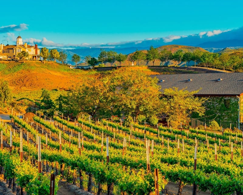 2-Winery Wine Tasting Tour in Temecula