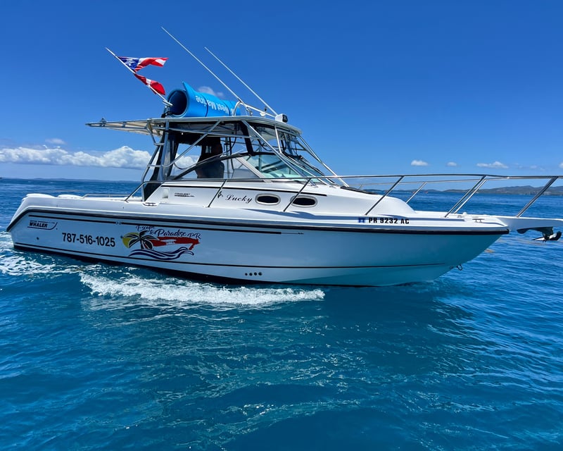 Full-Day Vieques Snorkeling Charter