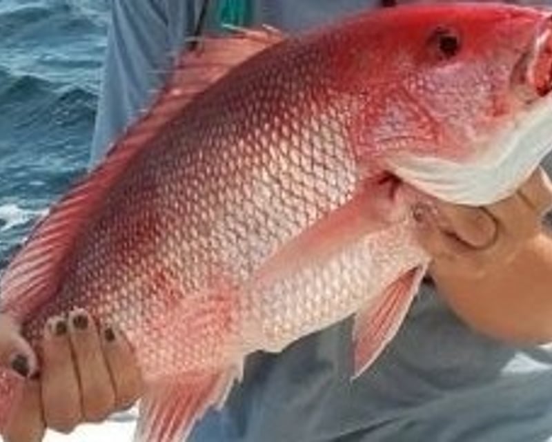 Private Nearshore Fishing Charter in Beaufort, NC