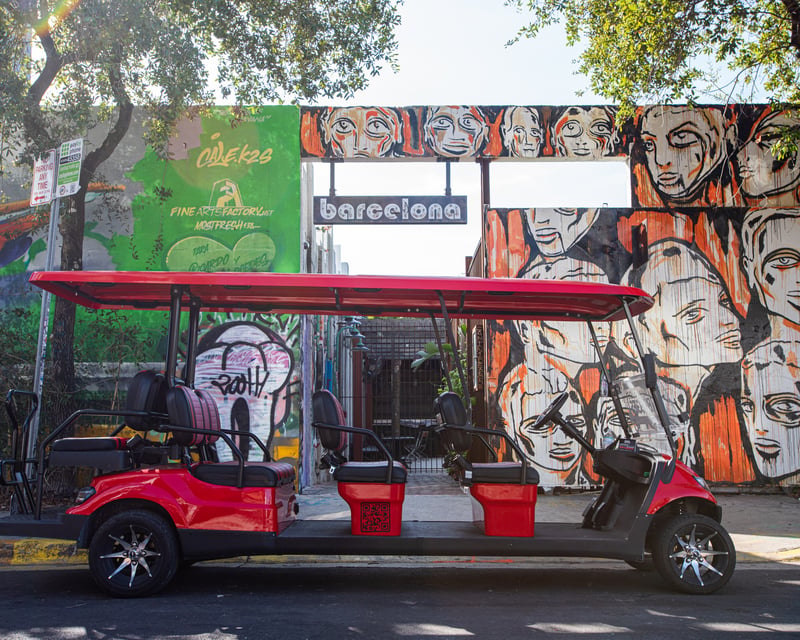 Explore Wynwood Art by Buggy & Wine Tasting