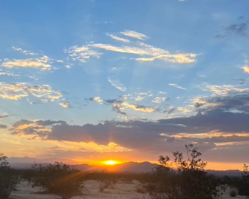 Morning Horseback Trail Ride in Joshua Tree