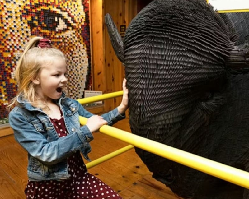 Ripley's Believe It or Not! Museum Entry in Branson