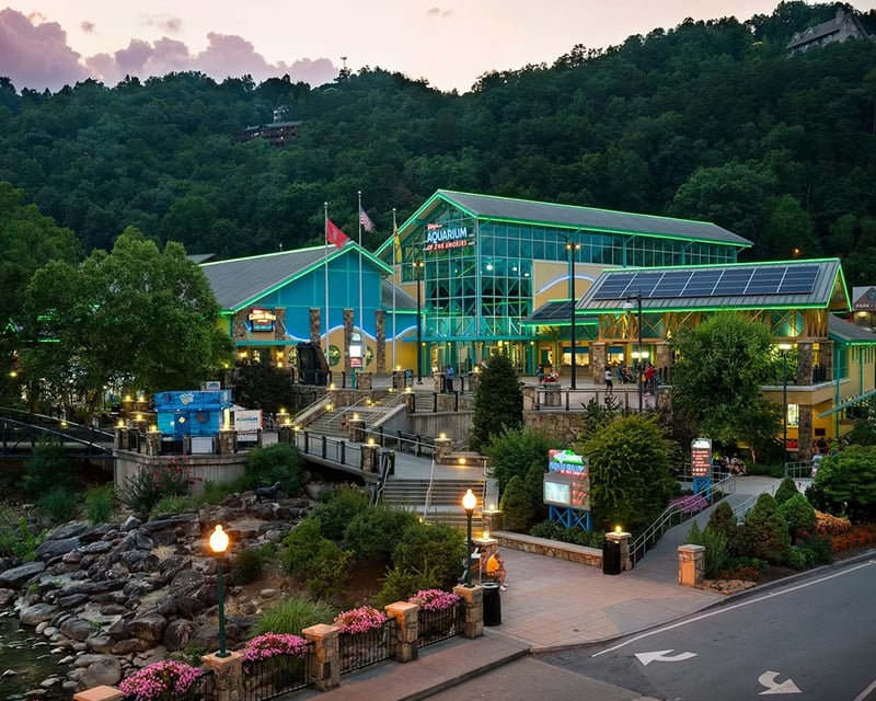 Ripley's Aquarium of the Smokies Combo Ticket in Gatlinburg