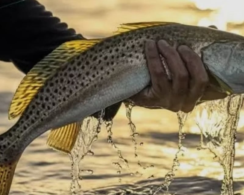 Private Full-Day Fishing Charter in St. Augustine