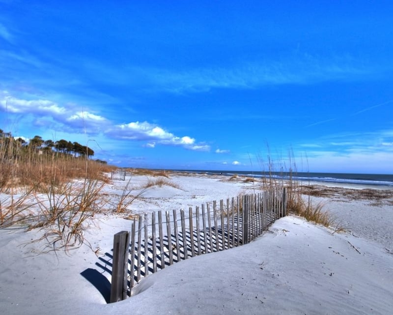 11-Day Beach Cruiser Rental on Hilton Head Island