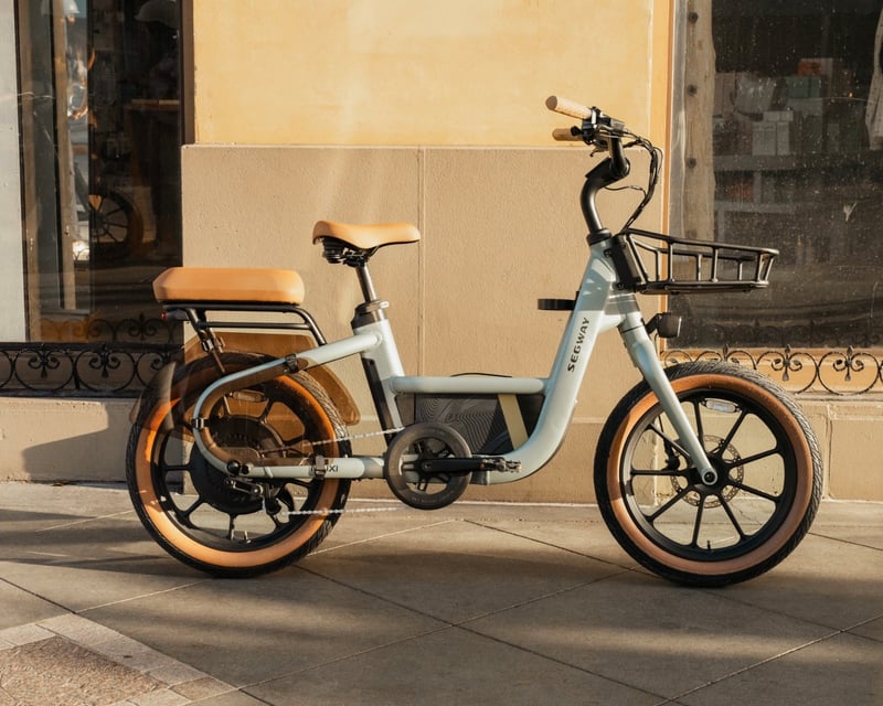 E-Bike Rental on the W&OD Trail in Herndon