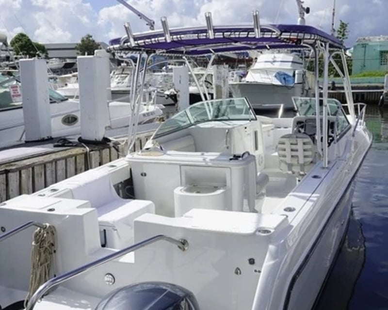 Private Catamaran Island Snorkeling Trip in Fajardo