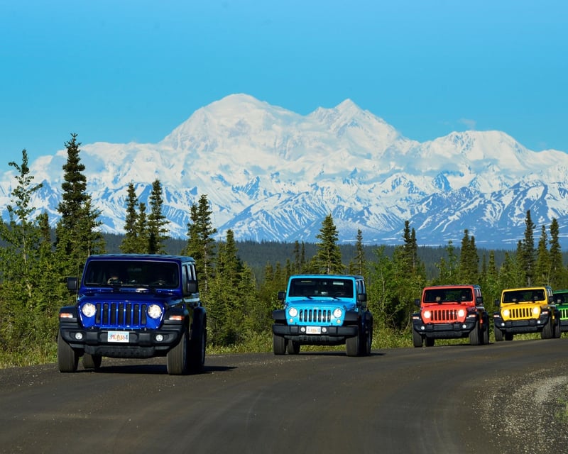 Guided Denali Highway Jeep Excursion