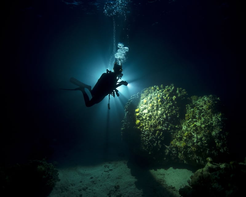 Night Reef Scuba Dive for Certified Divers in Key Largo