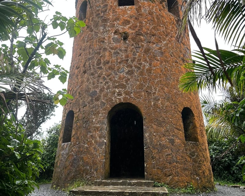 El Yunque National Forest Hike & La Coca Waterfall