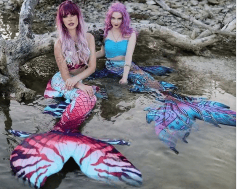 Private Mermaid Quest Snorkel Charter in Key West