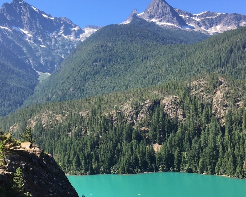Custom Private Seattle Tour with a Local Guide