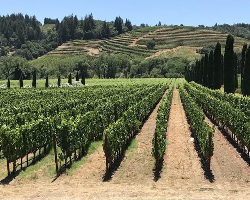Take a 10-Hour Sonoma Wine Tasting Tour From San Francisco