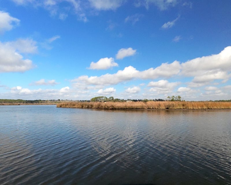 Rivers & Bays Eco Boat Charter in Orange Beach