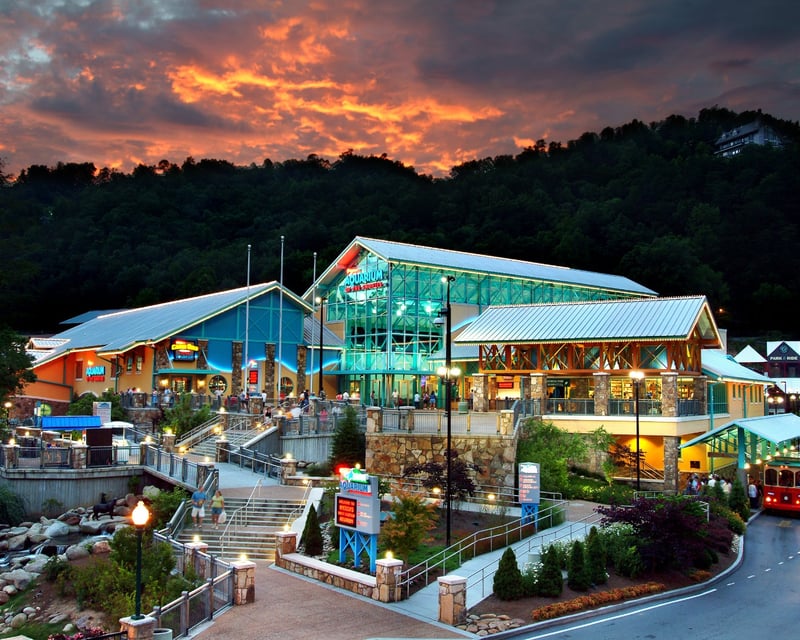 Ripley's Aquarium of the Smokies Admission in Gatlinburg