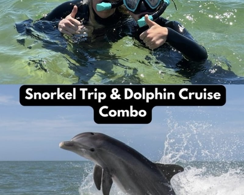 Orange Beach Dolphin & Snorkeling Charter