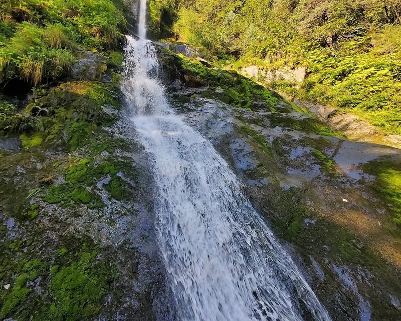 4-Hour Guided Kayak Tour in Seward