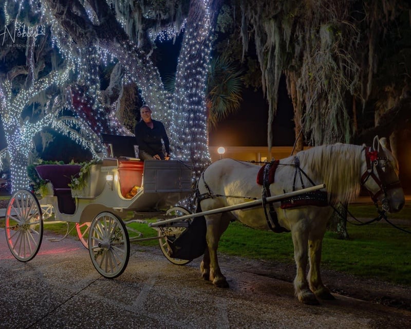 Evening Carriage Tour of Jekyll Island
