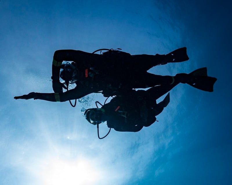 2-Dive PADI Dry Suit Specialty Course in Monterey