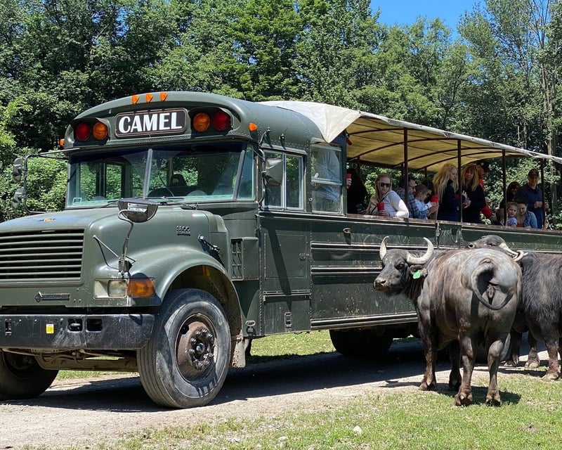 Private Guided Safari Tour in Varysburg