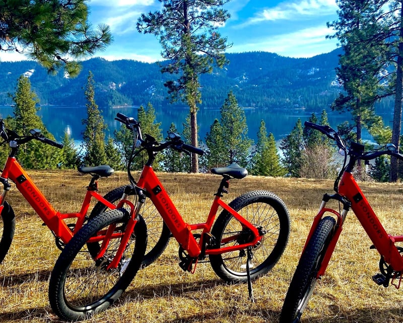 4-Hour Coeur d'Alene e-Bike Rental