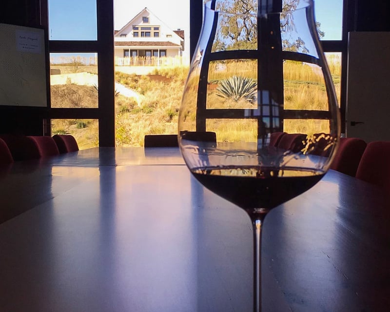 Napa 6-Hour Private Wine Tour