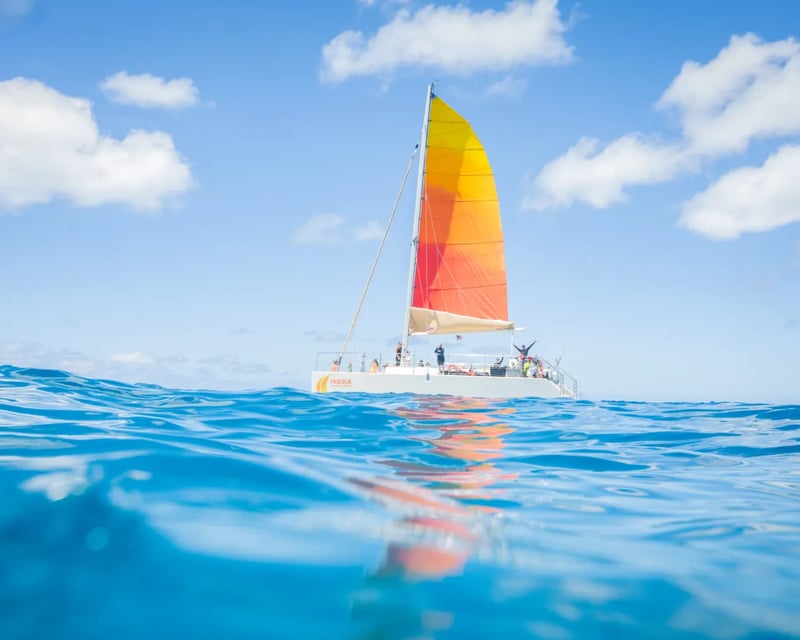 Sail Waikiki to Diamond Head on a 1.5-Hour Cruise