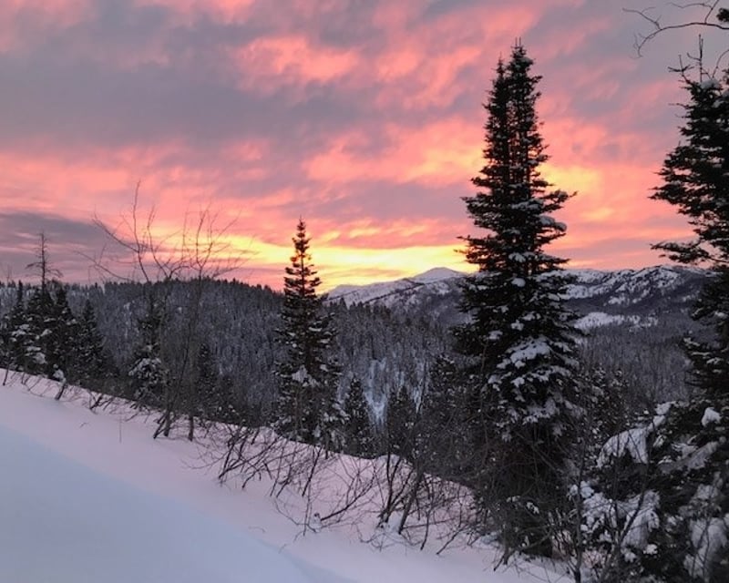 Starry Night Snowmobile Tour in Donnelly, Idaho