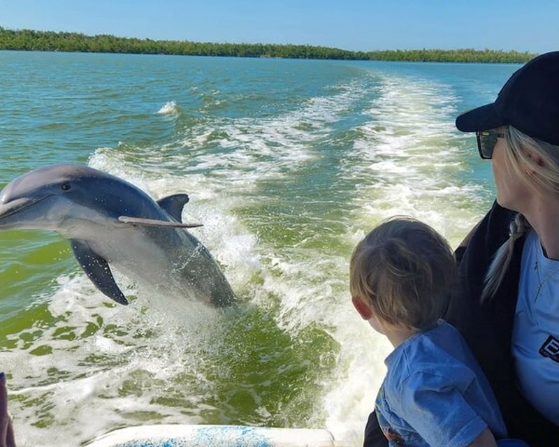 Everglades Airboat & Nature Tour