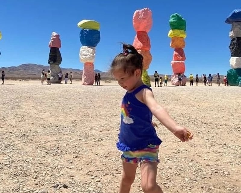 Seven Magic Mountains & Las Vegas Sign Guided Tour