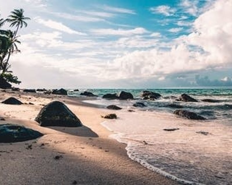 Amelia Island & Big Talbot Island E-Bike Tour