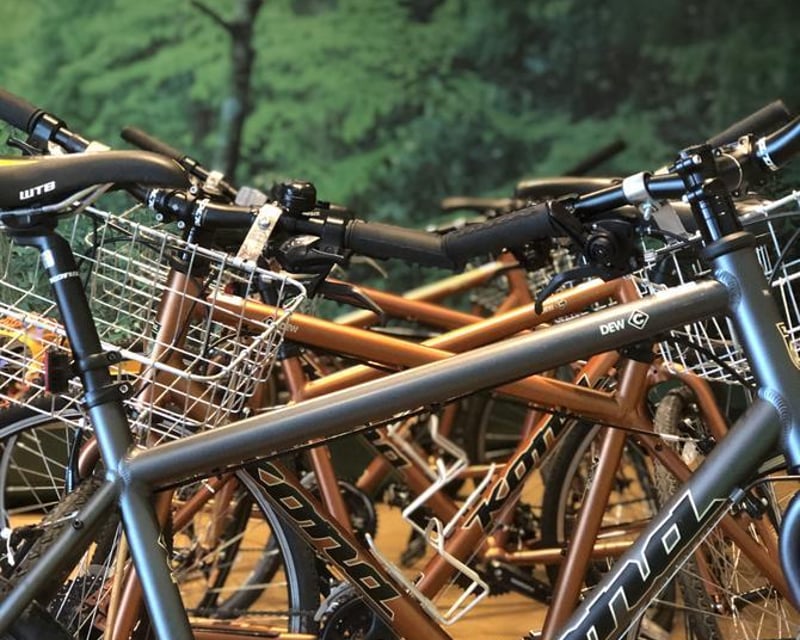 Commuter Bike Rental in Knoxville