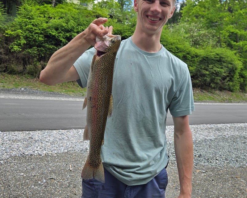 Guided Trout Fishing Tour in Boone