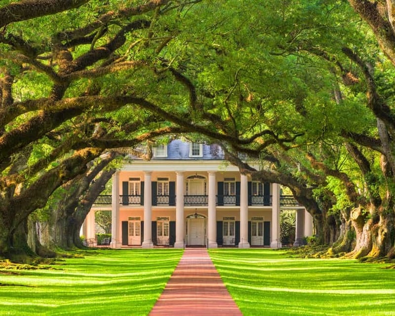 Luling Airboat & Oak Alley or Laura Plantation Tour