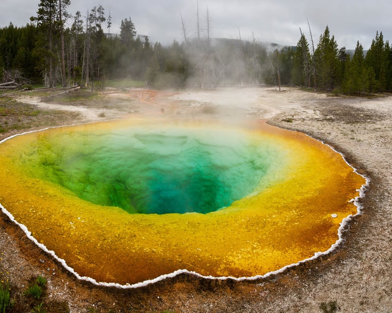 Yellowstone Wildlife & Stargazing Guided Tour From Jackson