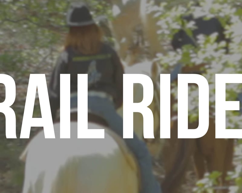 1-Hour Horseback Trail Ride in Corinth
