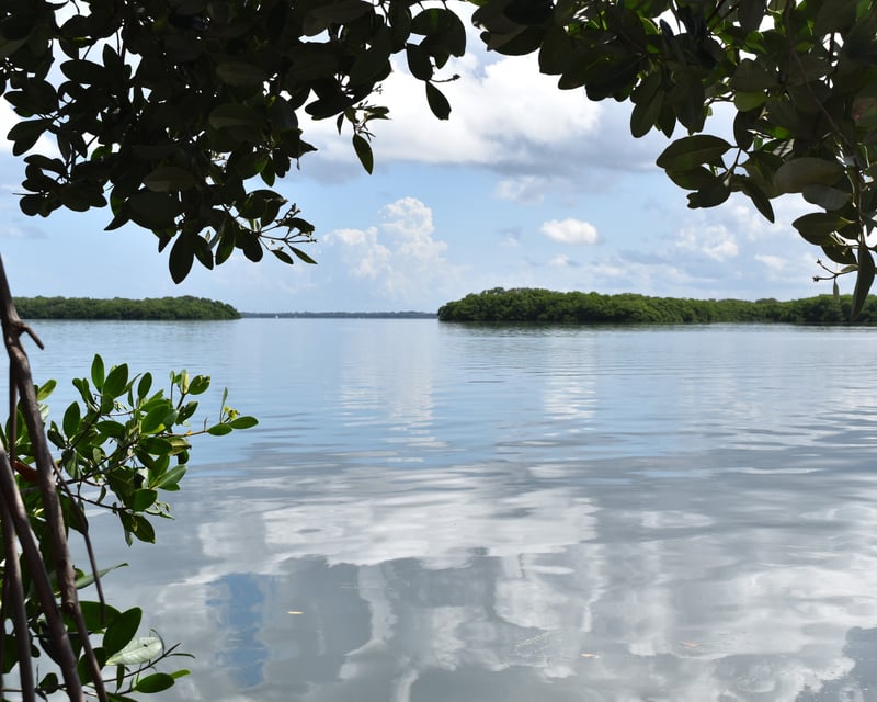 Half-Day Kayak & Paddleboard Rental on Longboat Key
