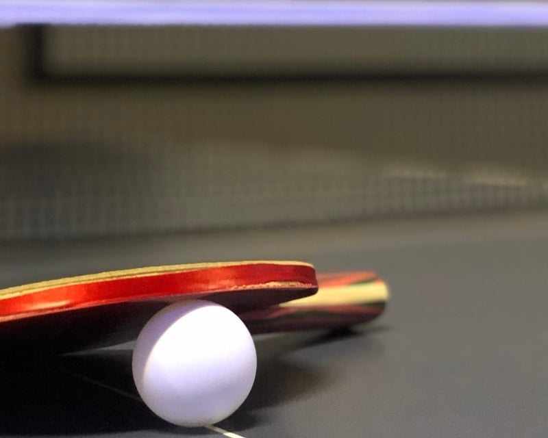 Ping Pong Table Rental in Elk Grove
