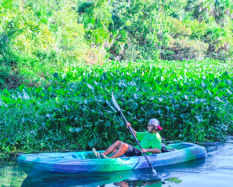 Self-Guided Single Kayak Rental at Wekiwa Springs
