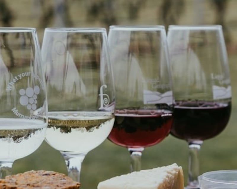 Bike & Wine Tasting Tour to Layton's Chance Winery