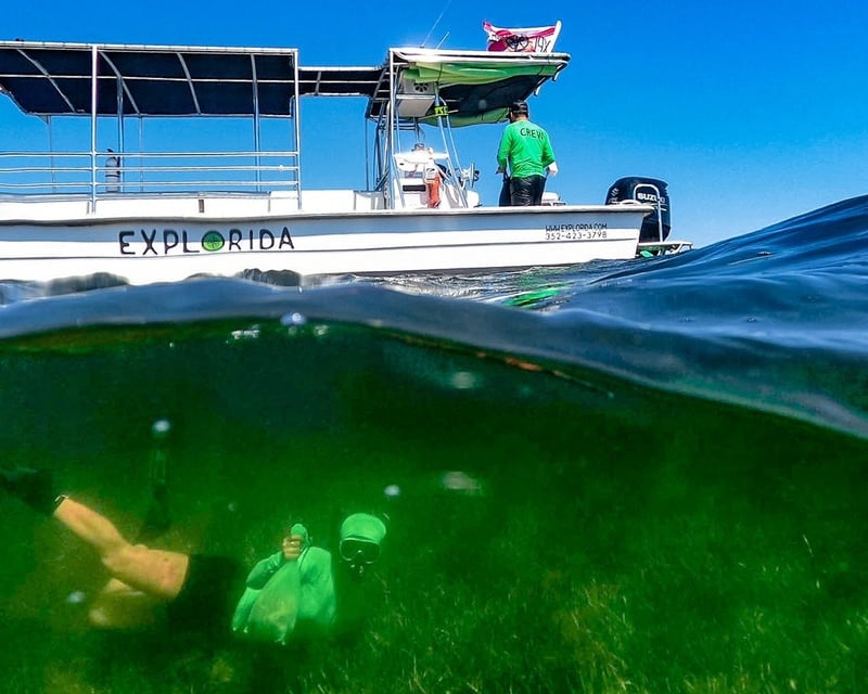 Crystal River Manatee Swim & Scallop Charter