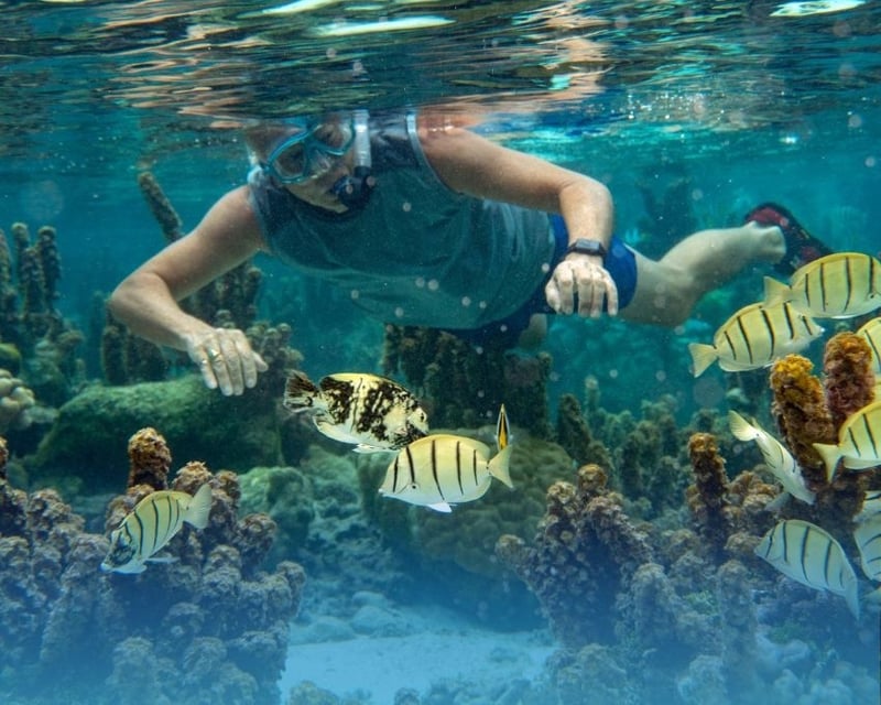 Sandbar Paddle & Snorkel Tour in Key Biscayne