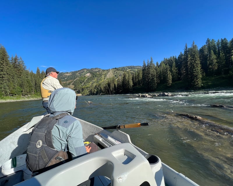 Half-Day Snake River Fly Fishing Trip near Jackson