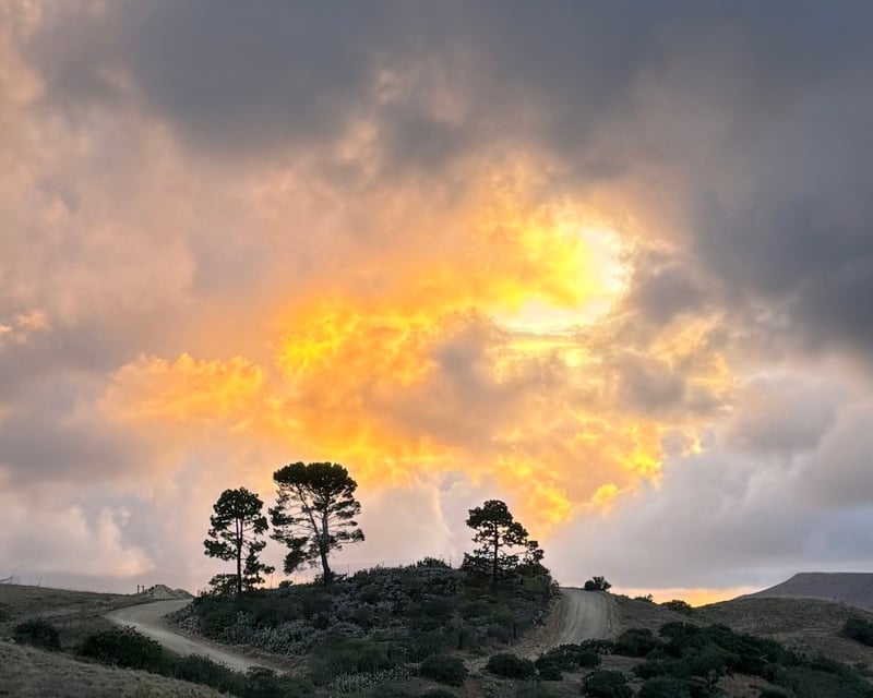 Private Sunset Grazing Board for 2 on Catalina Island